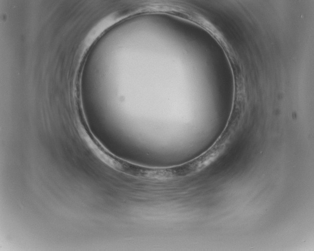 X0000060750803200511241702