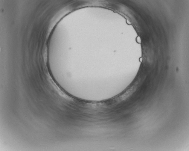 X0000060750804200511241702