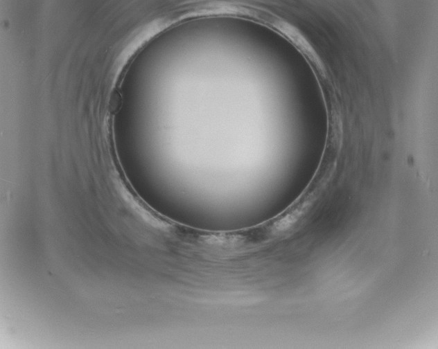 X0000060750805200511241702