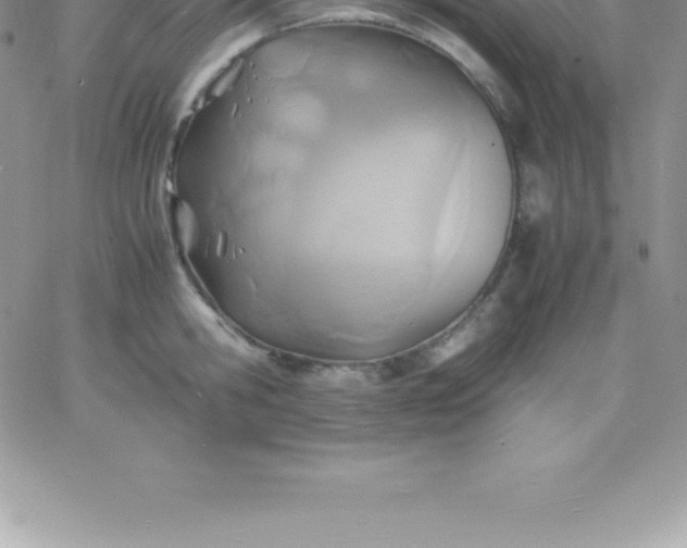 X0000060750806200511241702