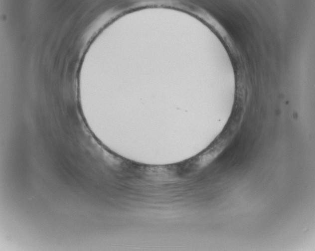 X0000060750807200511241701