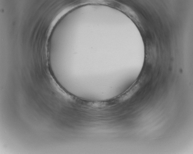 X0000060750808200511241701