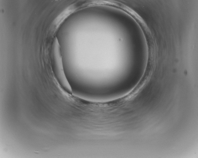 X0000060750809200511241701