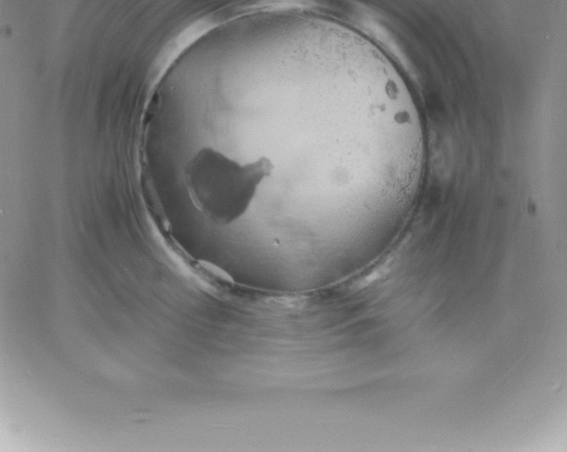 X0000060750810200511241701