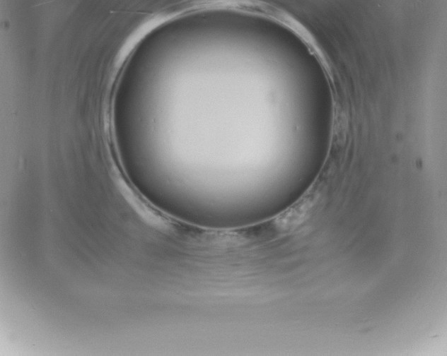 X0000060750811200511241701