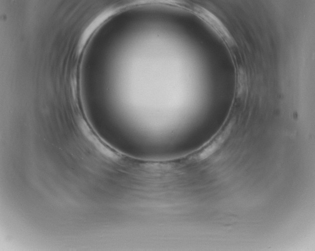 X0000060750812200511241701