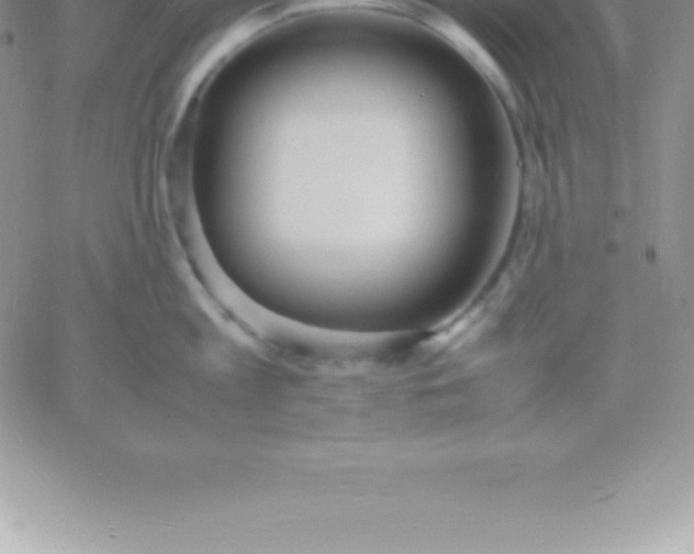 X0000060750813200511241701