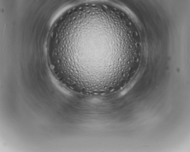 X0000060750814200511241701