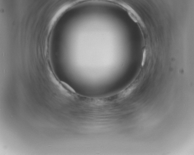 X0000060750815200511241701