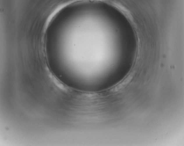 X0000060750816200511241701