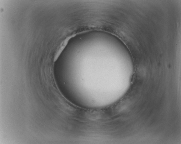 X0000060750817200511241701