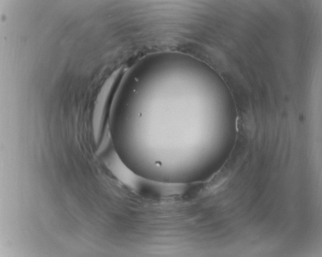 X0000060750818200511241701