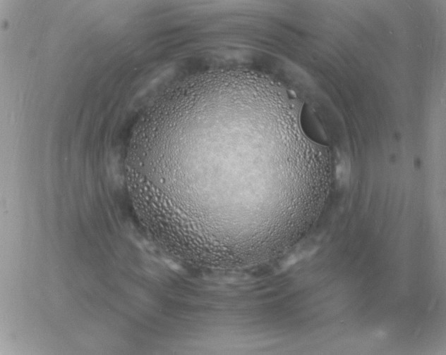 X0000060750819200511241701