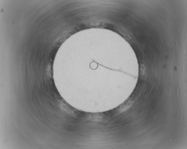 X0000060750820200511241701