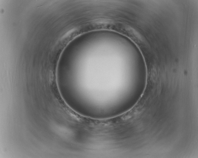 X0000060750821200511241701