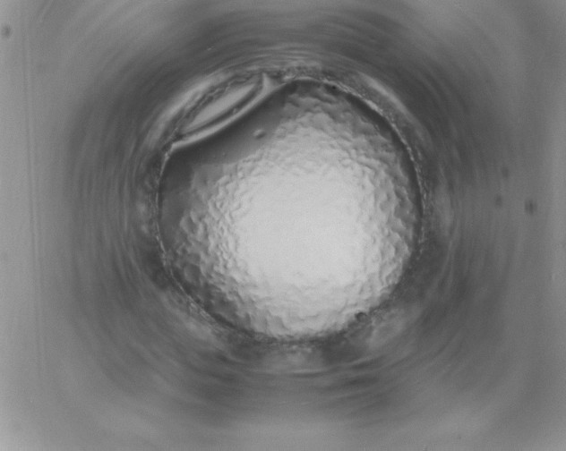 X0000060750823200511241701