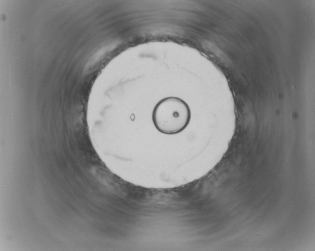 X0000060750824200511241701