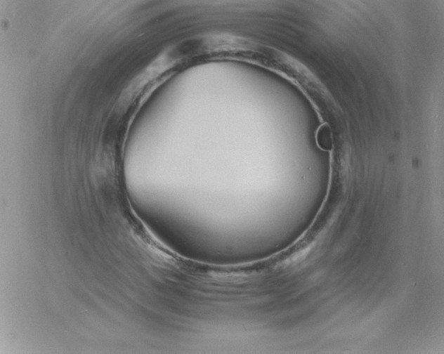 X0000060750825200511241701