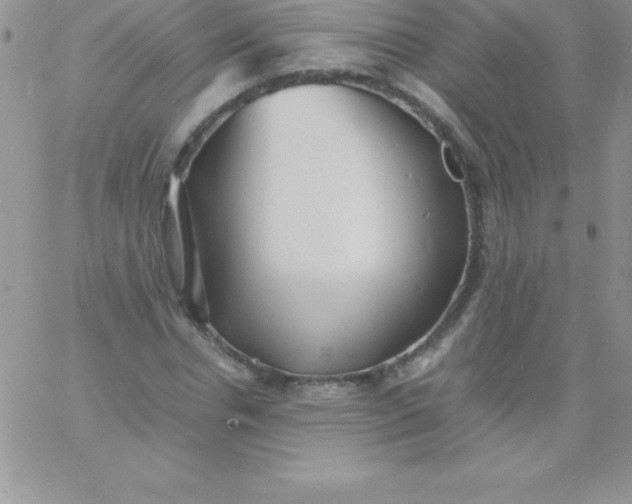 X0000060750826200511241701