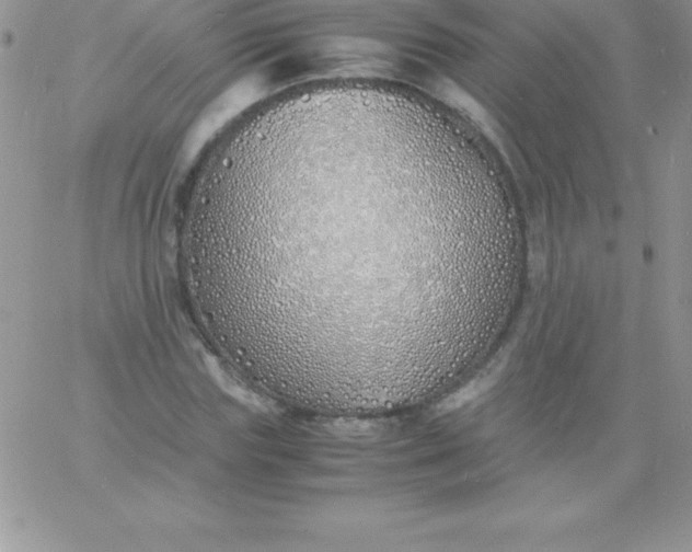 X0000060750827200511241701