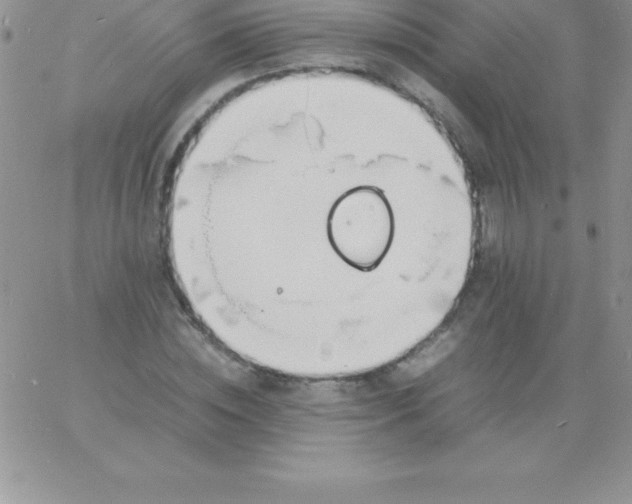 X0000060750828200511241701