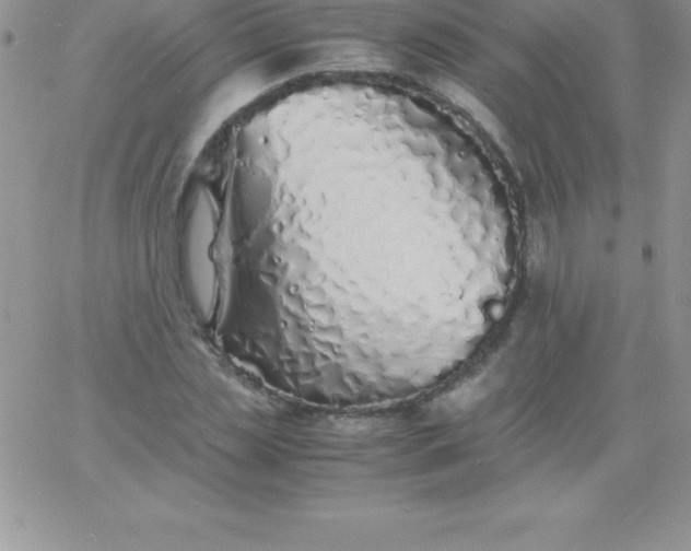 X0000060750829200511241701