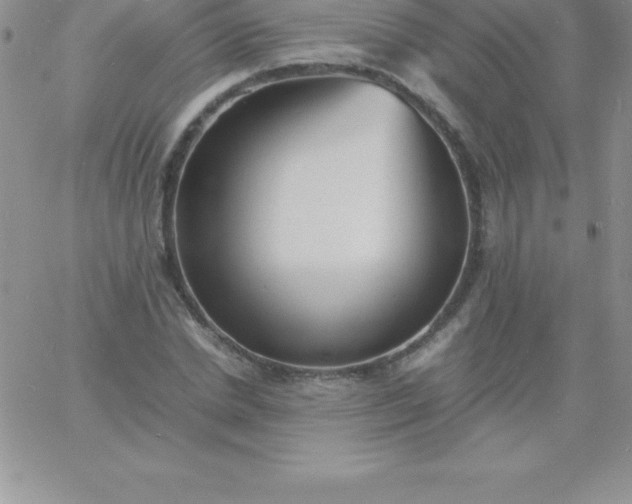 X0000060750830200511241701