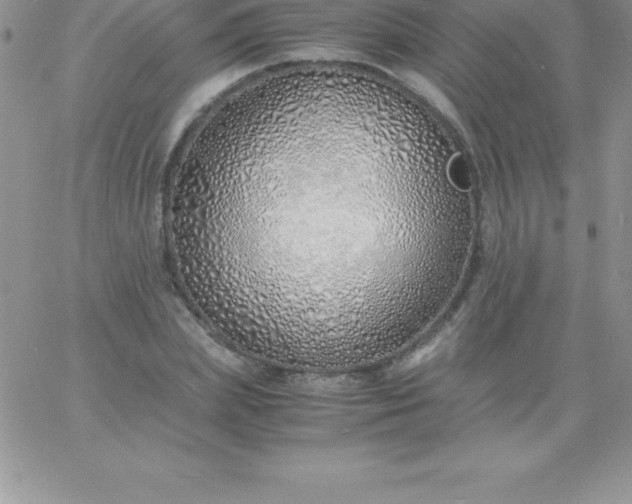 X0000060750831200511241701