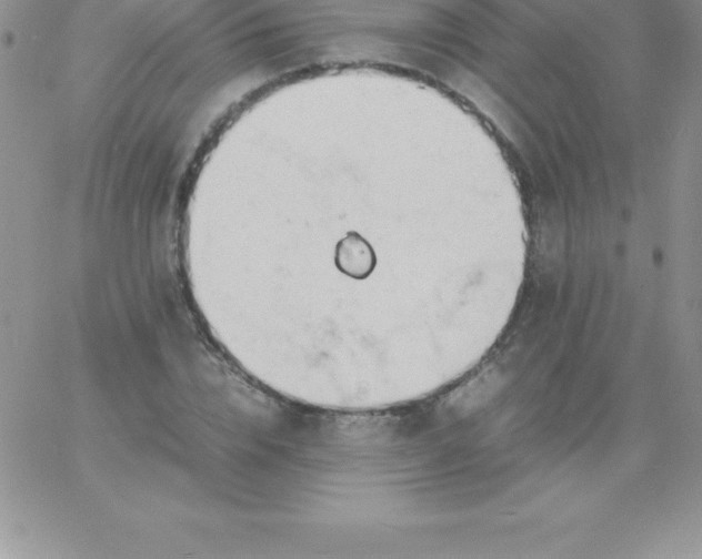 X0000060750832200511241701