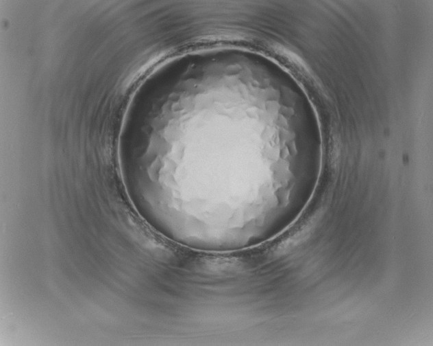 X0000060750833200511241701