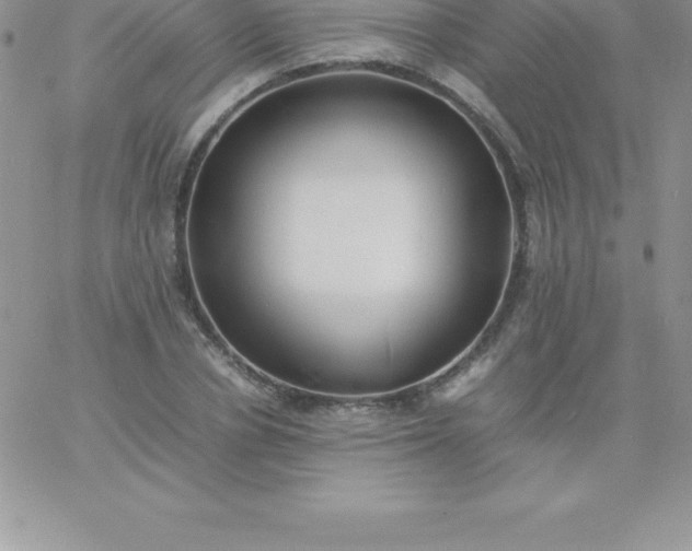 X0000060750834200511241701