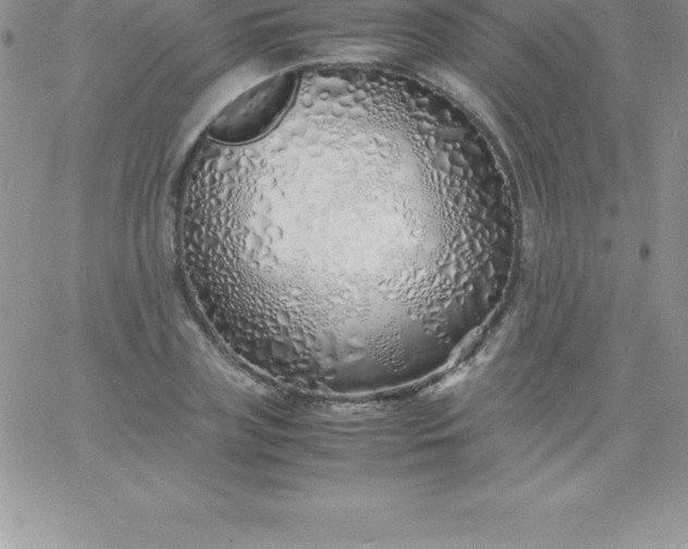 X0000060750835200511241701