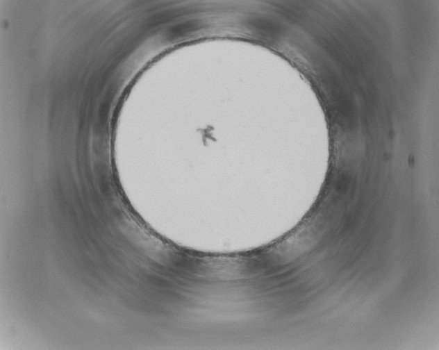 X0000060750836200511241701