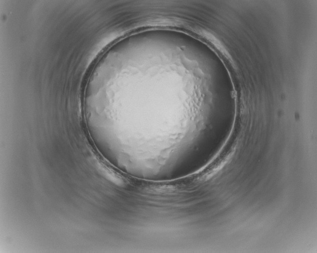 X0000060750837200511241701