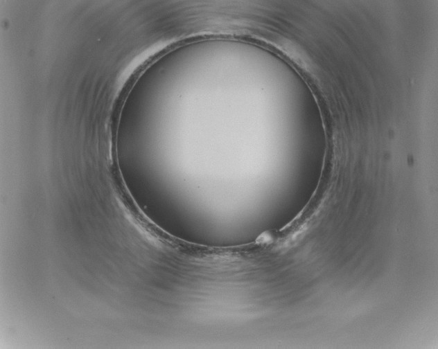 X0000060750838200511241701