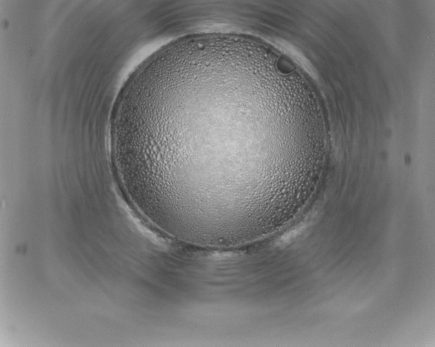 X0000060750839200511241701