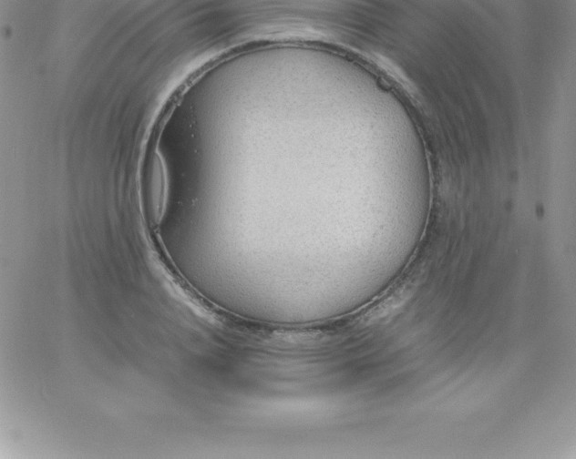 X0000060750840200511241701