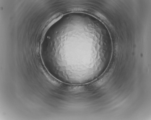 X0000060750841200511241701