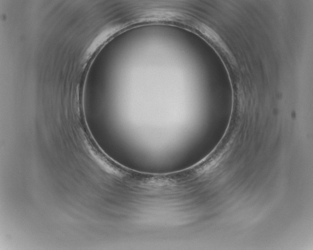 X0000060750842200511241701