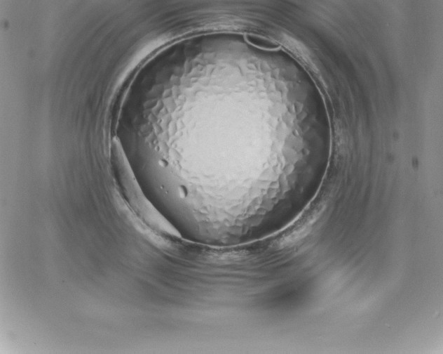 X0000060750843200511241701