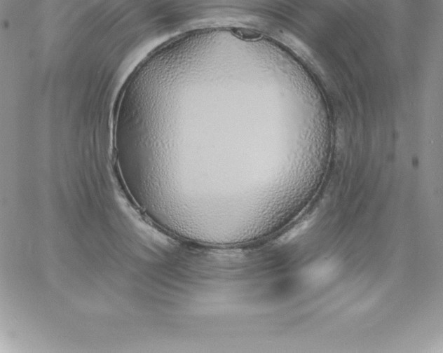 X0000060750844200511241701