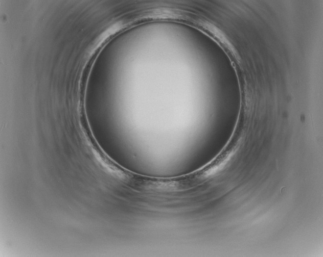 X0000060750845200511241701