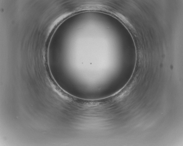 X0000060750846200511241701