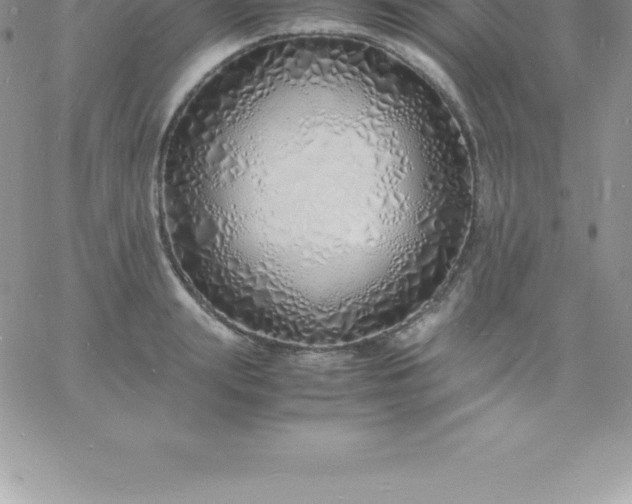 X0000060750847200511241701