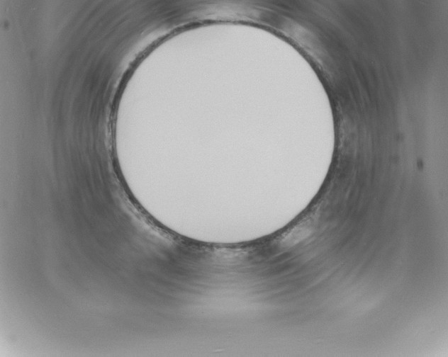 X0000060750848200511241701