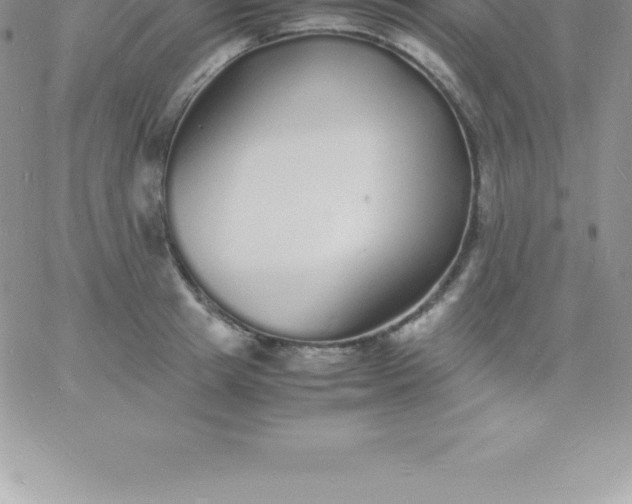 X0000060750849200511241701