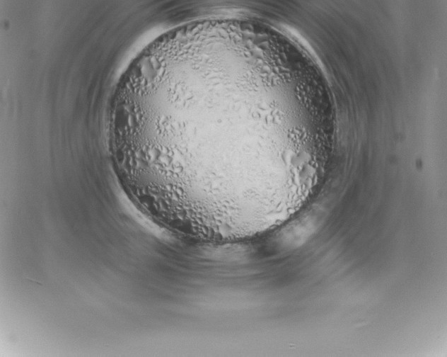 X0000060750851200511241701