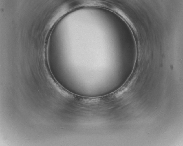 X0000060750853200511241701