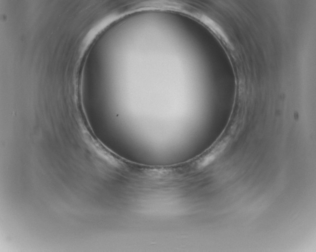 X0000060750854200511241701