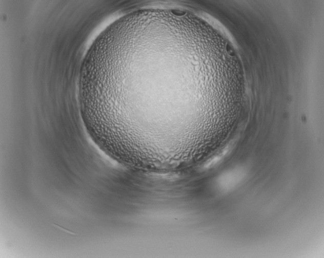 X0000060750855200511241701